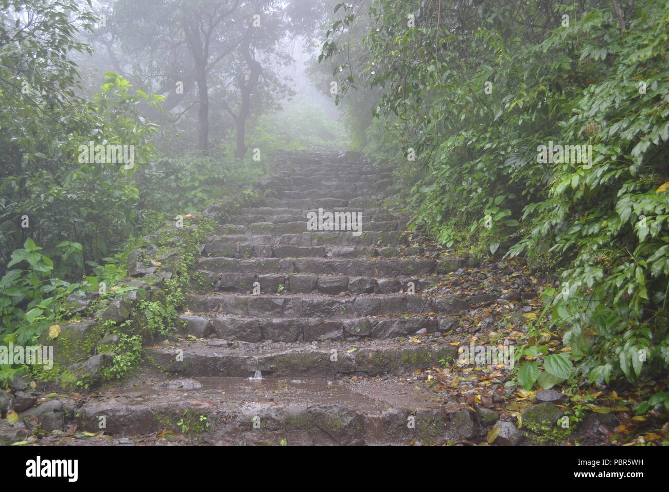 Rainy Stairs High Resolution Stock Photography and Images - Alamy