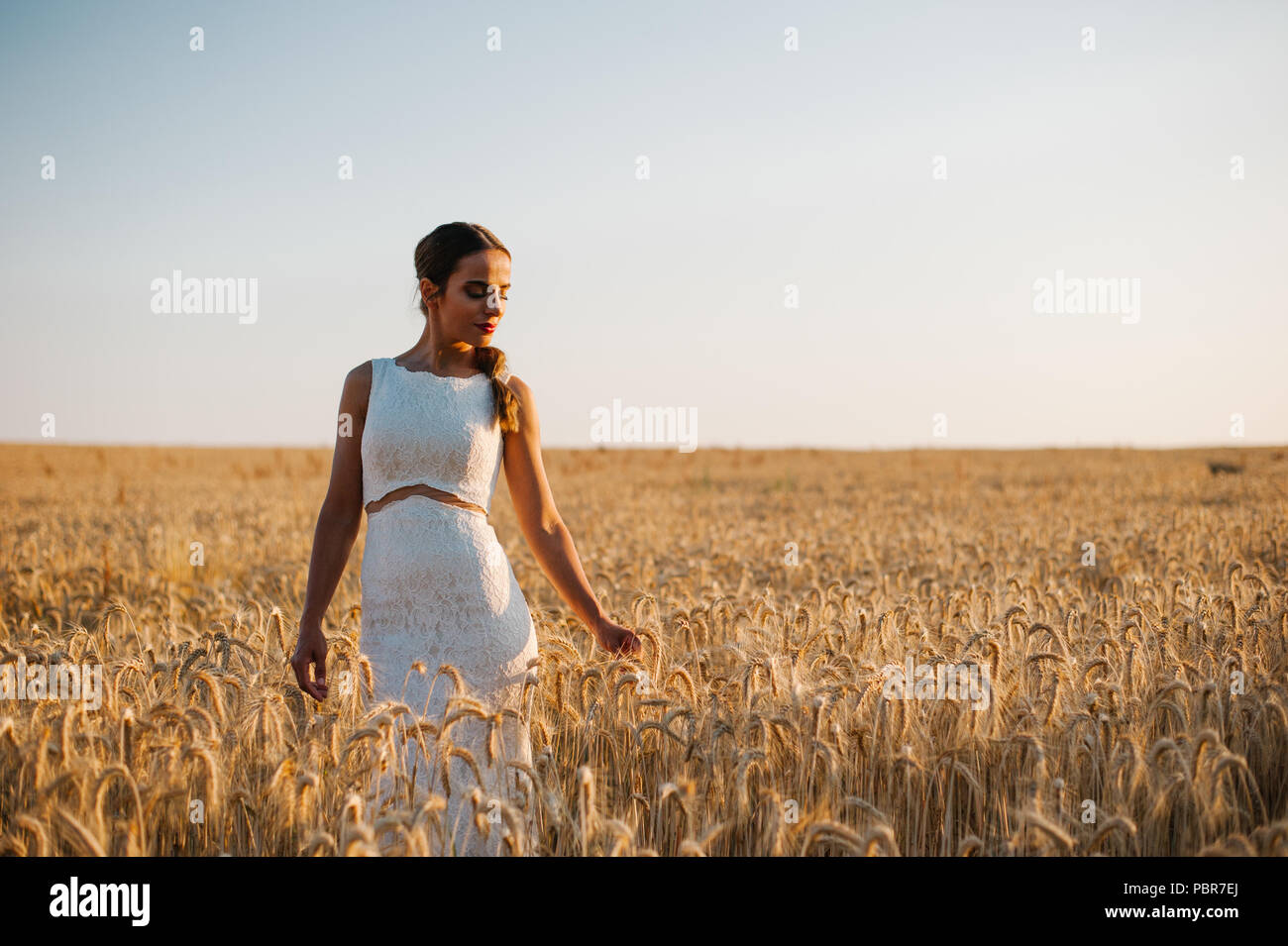 Bride walking in a wheat field before the sunset time Stock Photo