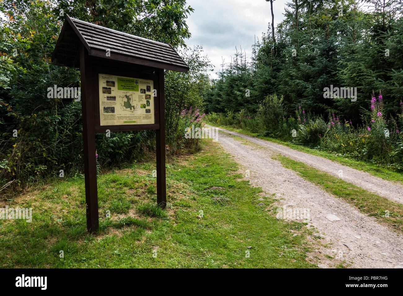 Sign board for Lockerbie Wildlife Trust. Eskrigg Nature Reserve.Scotland Stock Photo