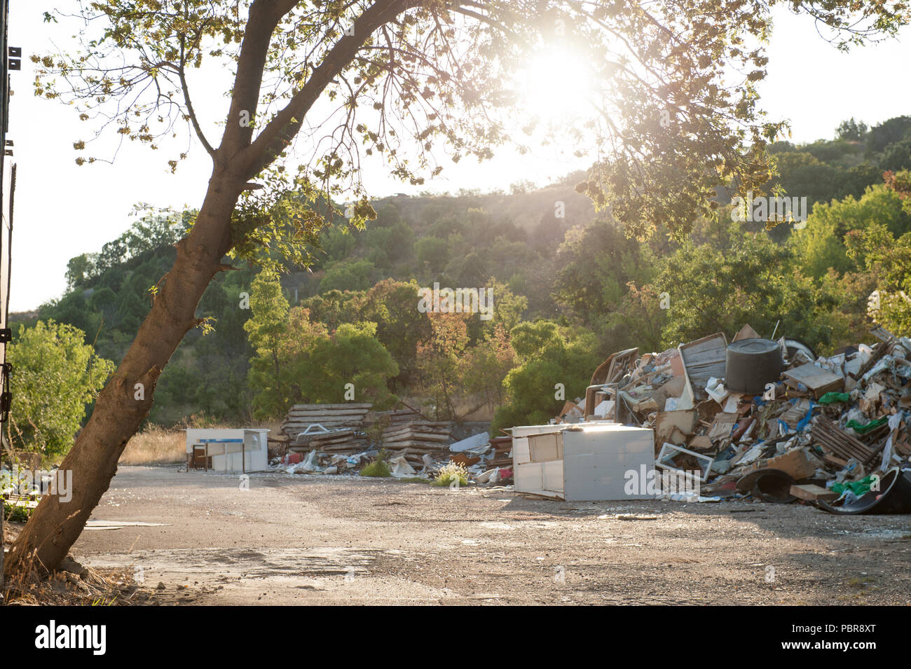 Pure Garbage garbage in middle of pure green forest Stock Photo - Alamy