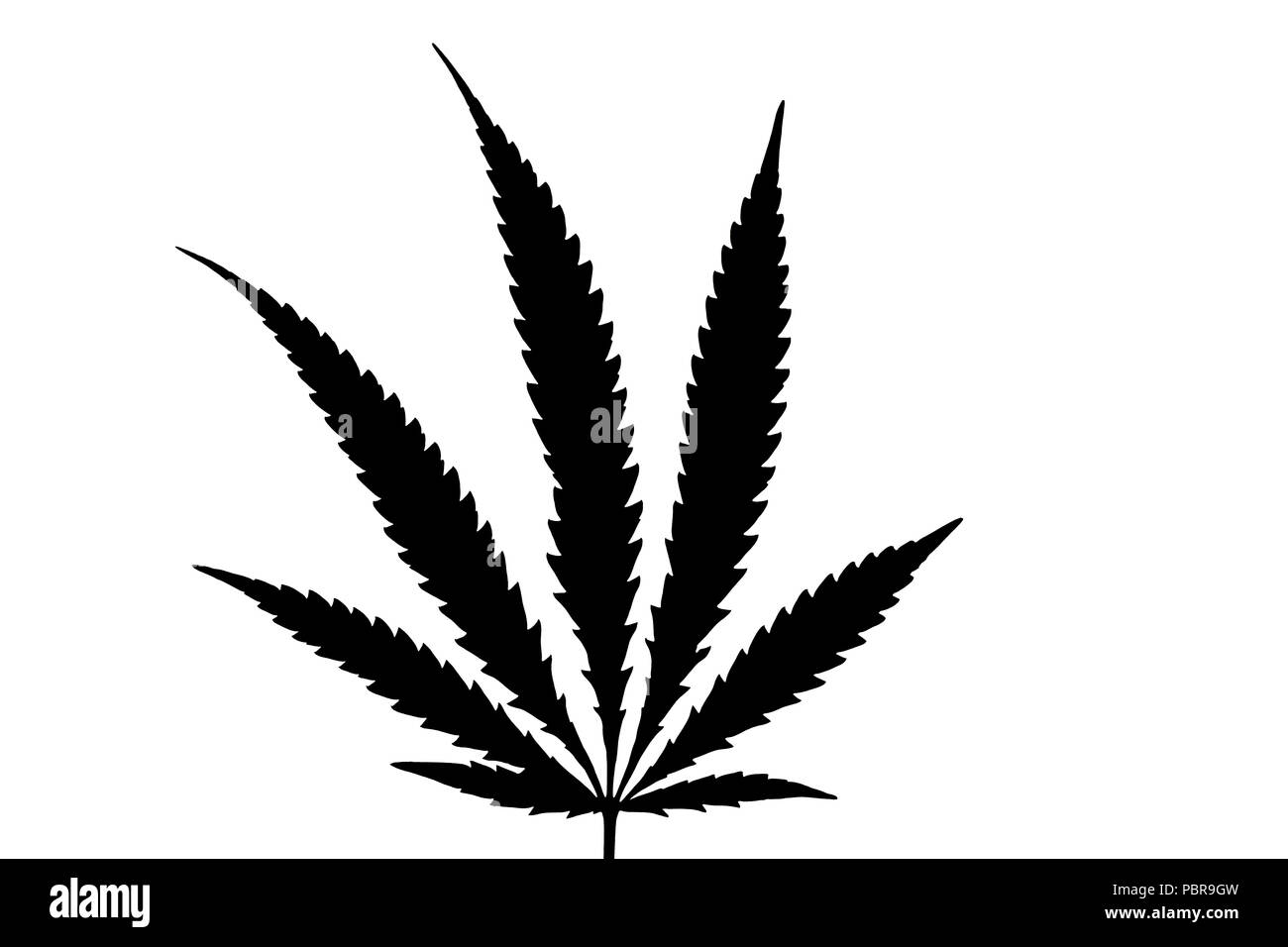 Black White Marijuana Leaf Cannabis Stock Photos & Black White