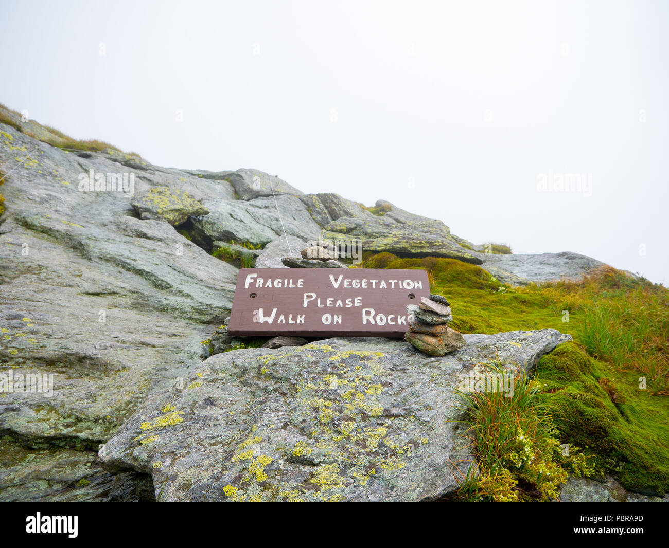 'Fragile vegetation'. Can be killed by footsteps. Please stay on trails.' sign in the Camels Hump mountain in Vermont Stock Photo