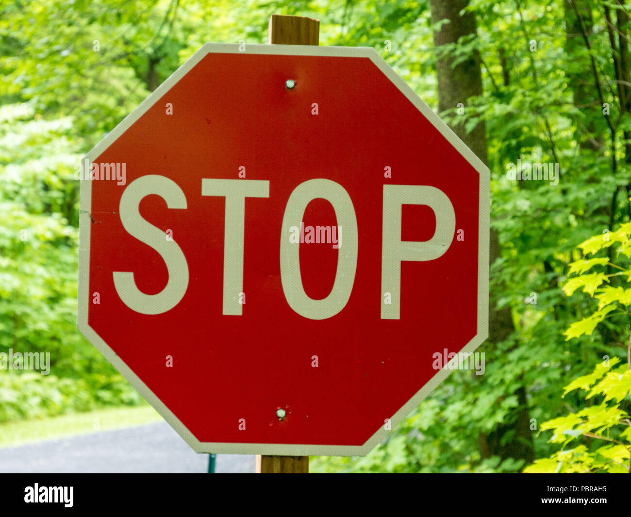 Stop sign and green forest Stock Photo