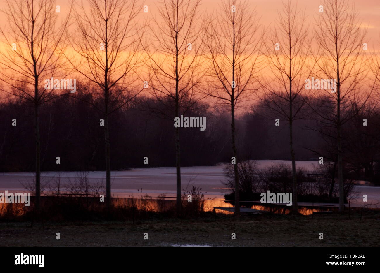 AJAXNETPHOTO. VAUX SUR SOMME, FRANCE. - WOODED BANKS OF THE RIVER SOMME AT SUNSET.  PHOTO:JONATHAN EASTLAND/AJAX REF:D1X0601 3183 Stock Photo