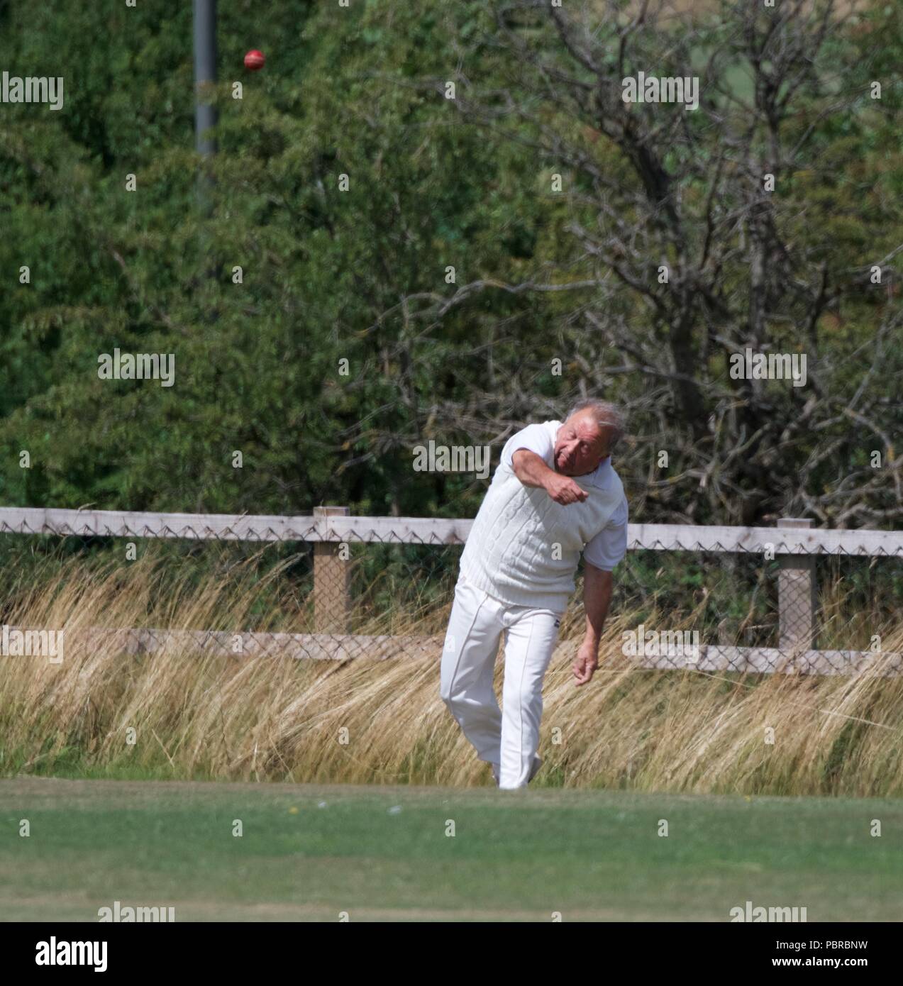 Cricket fielder throws ball hires stock photography and images Alamy