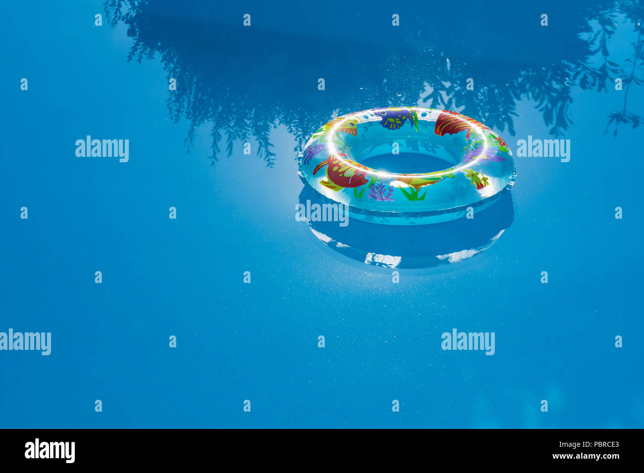 Inflated buoy floating on a swimming pool. Safety and summer concept. Stock Photo