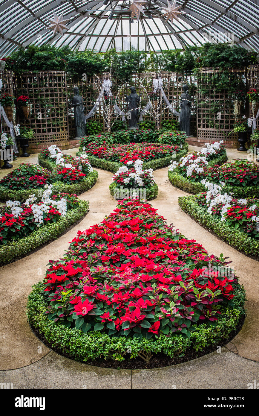 Floral greenhouse interiors Stock Photo Alamy