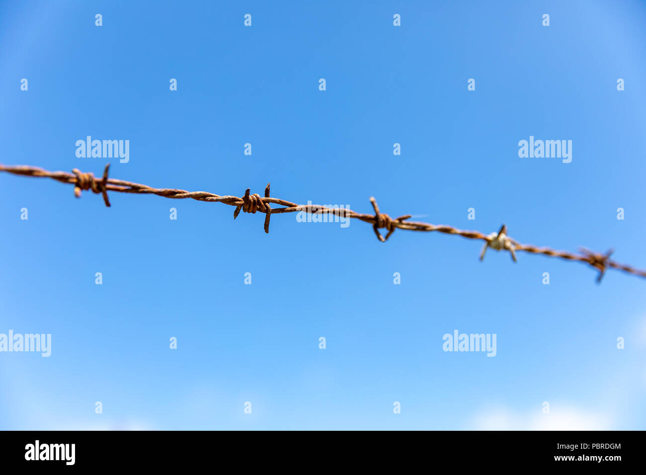 Rusty barbed wire against blue sky Stock Photo