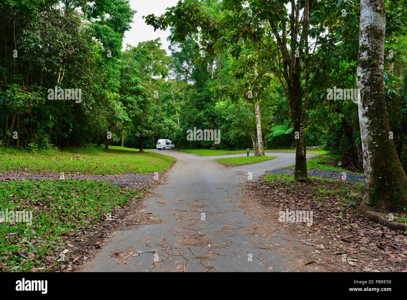 Henrietta creek camping area, Atherton Tablelands, QLD, Australia Stock