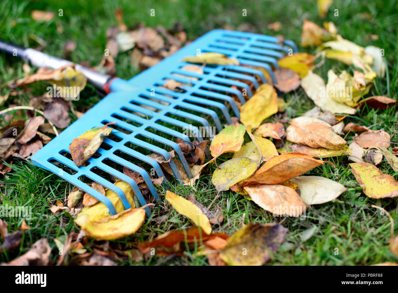 Leaf rake lawn grass hires stock photography and images Alamy