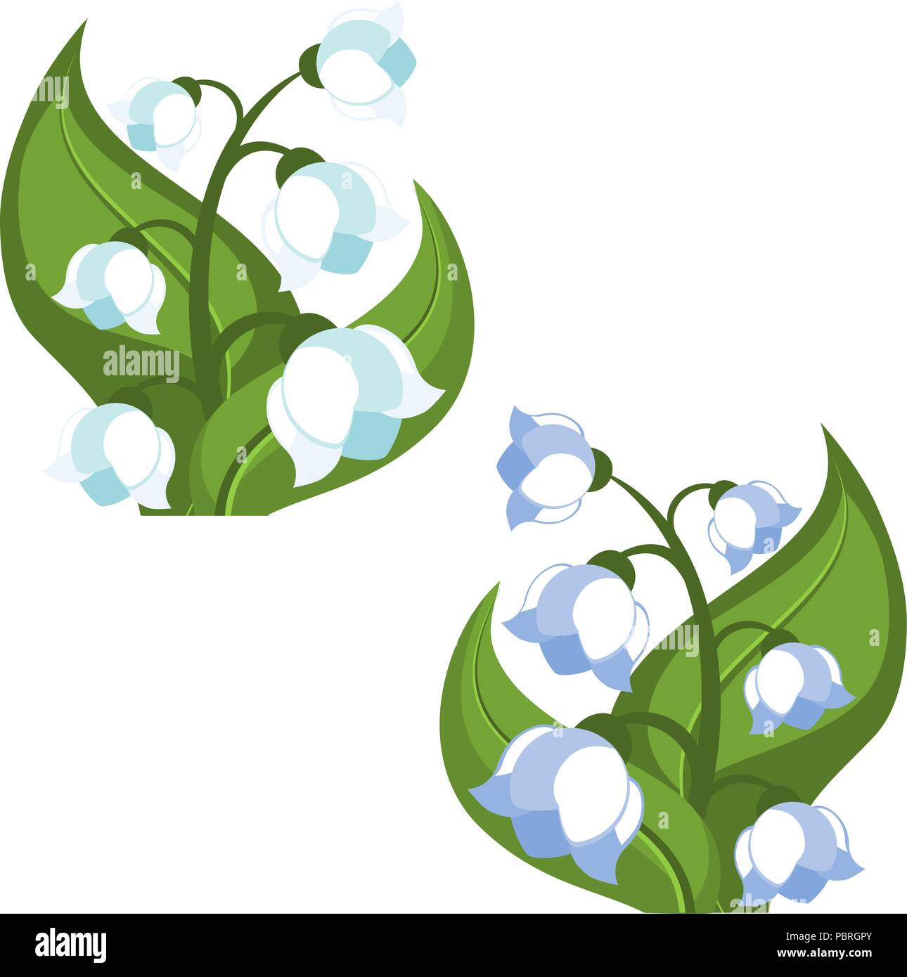Illustration of vector lilies of the valley Stock Vector Image & Art