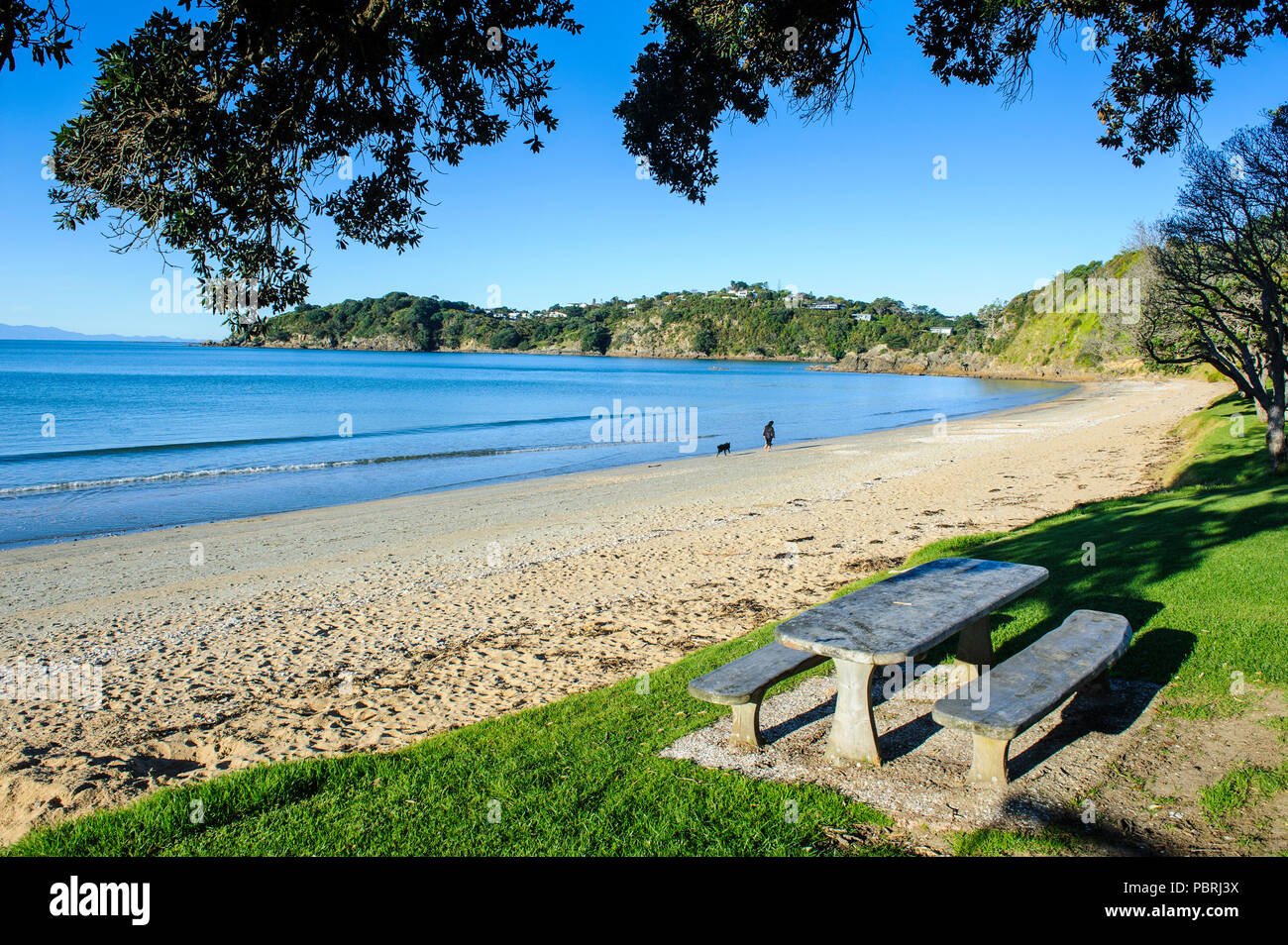 Picknick table on Oneroa beach, Waiheke island, North Island, New Zealand Stock Photo