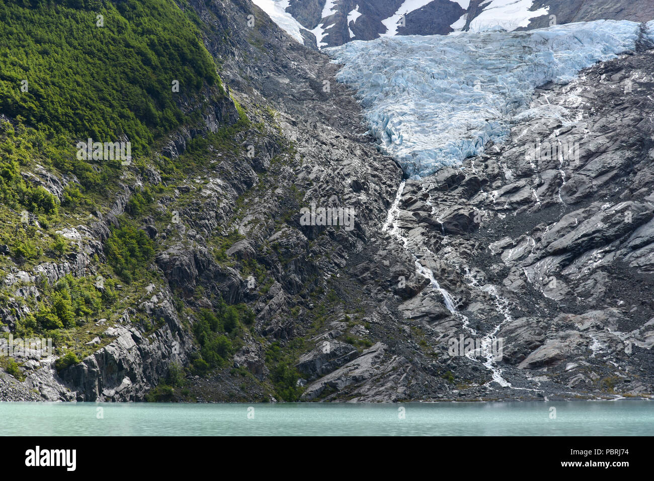 Melting glacier with lake and forest, Glaciar Huemulam Lago del Desierto, near El Chalten, Patagonia, Argentina, South America Stock Photo