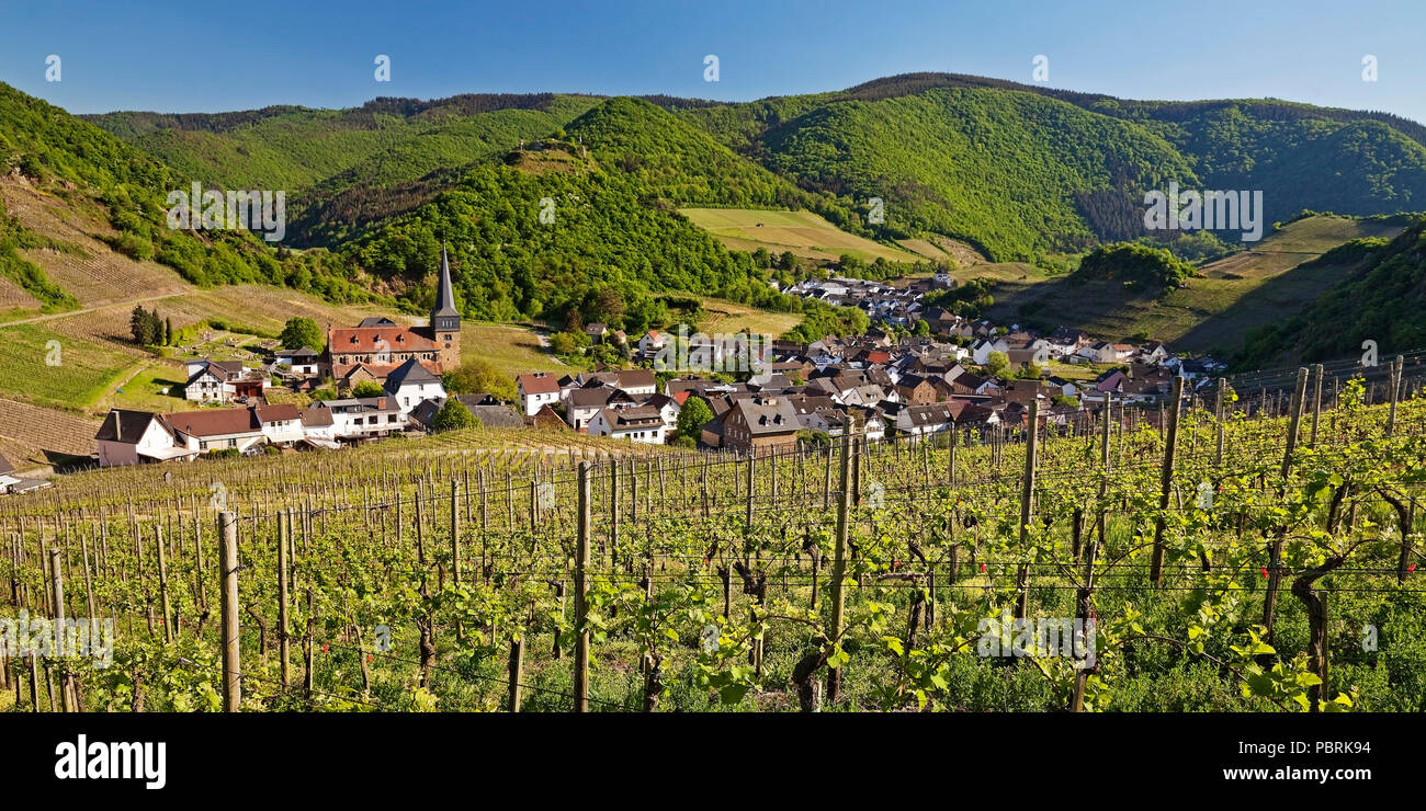 View over the vineyards to the place Mayschoss, Ahrtal, Eifel, Rhineland-Palatinate, Germany Stock Photo