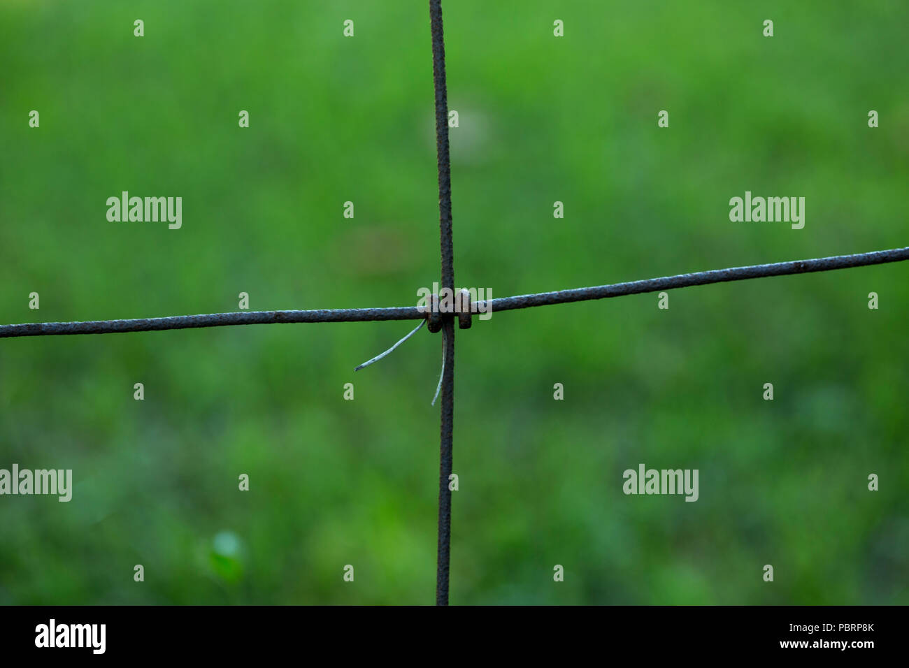 Close up of Fence with Green Background Stock Photo - Alamy