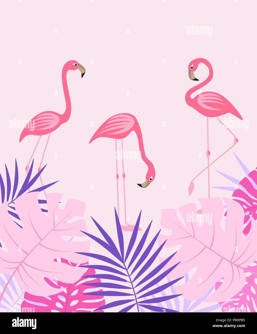 Vector illustration of natural background with palm leaves and flamingo ...