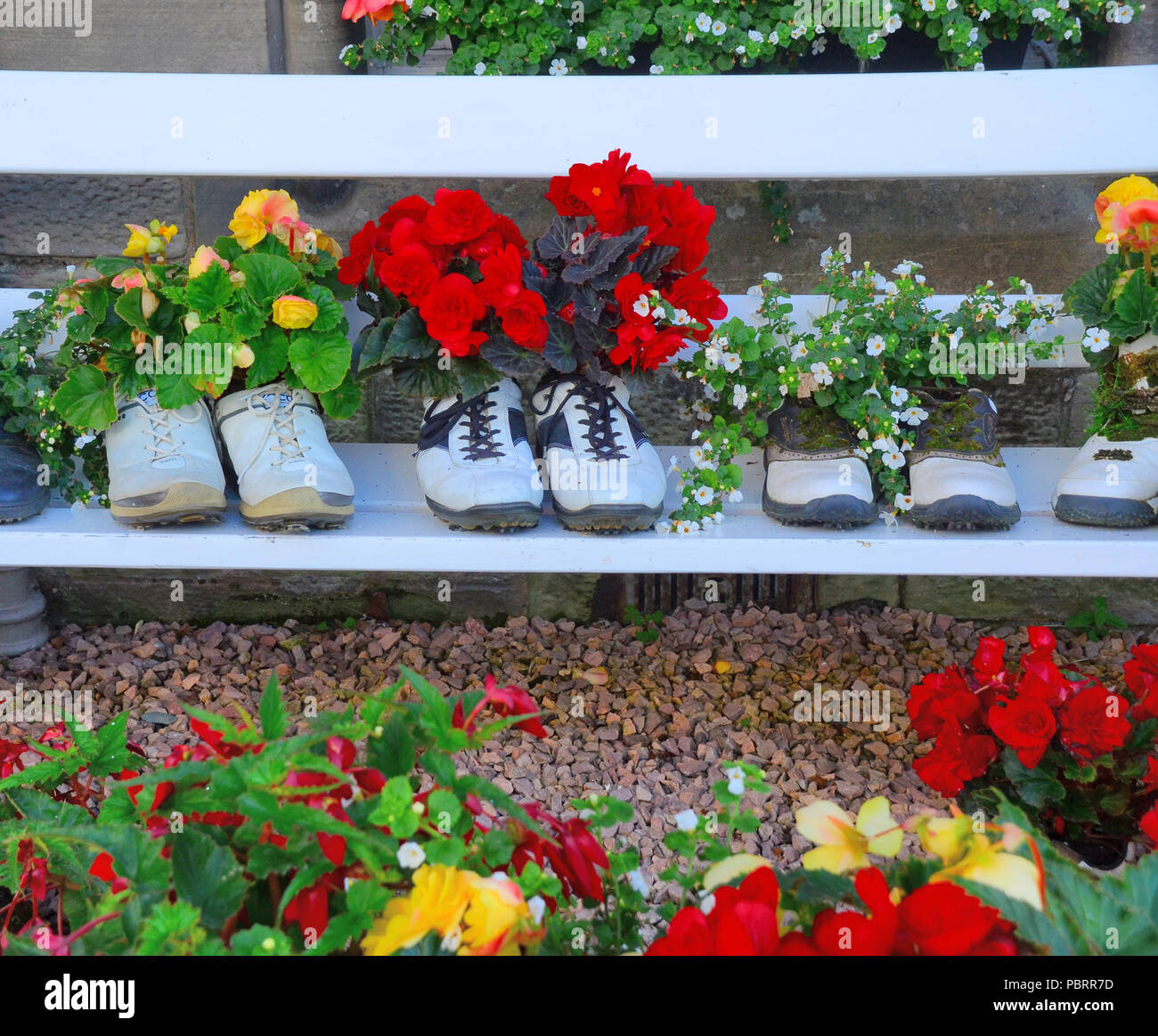 Row of famous golfers shoes used as flower pots displaying a variety of potted flowering plants  in St Andrews,  Scotland Stock Photo