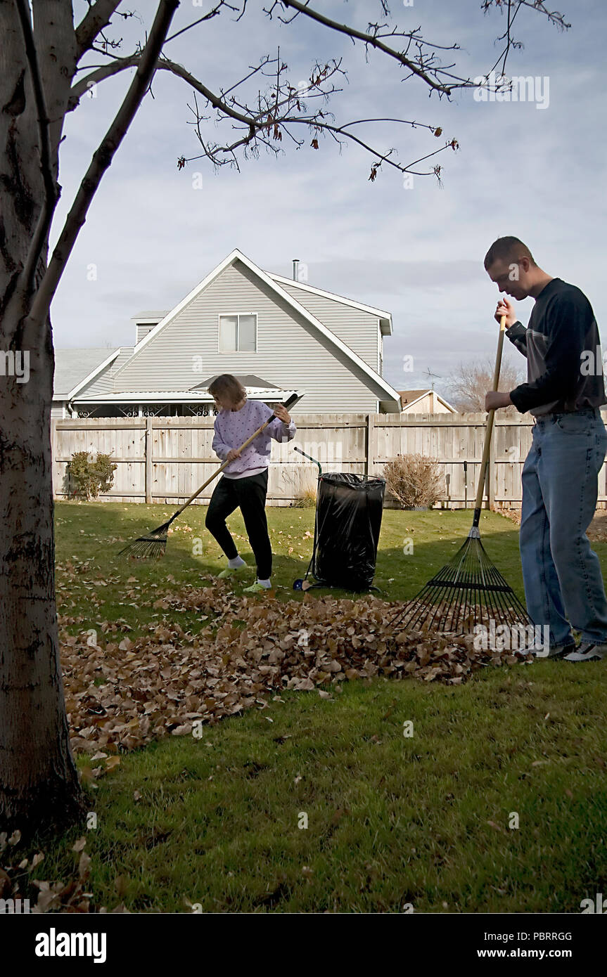 A mother and son work together to clean up their yard in the fall. Both are taking  advantage of this nice autumn day, raking leaves that have fallen a Stock  Photo -