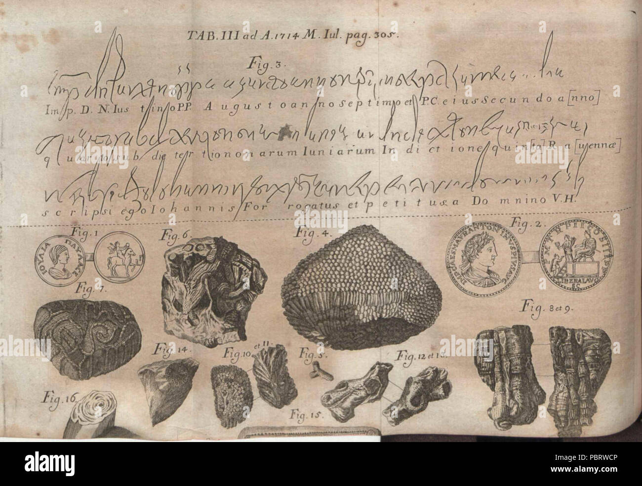 Acta Eruditorum - III fossili iscrizioni, 1714 – BEIC 13384397. Stock Photo