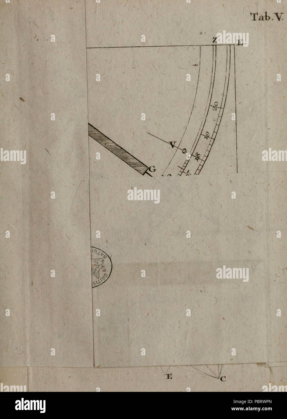 Acta Helvetica Stock
