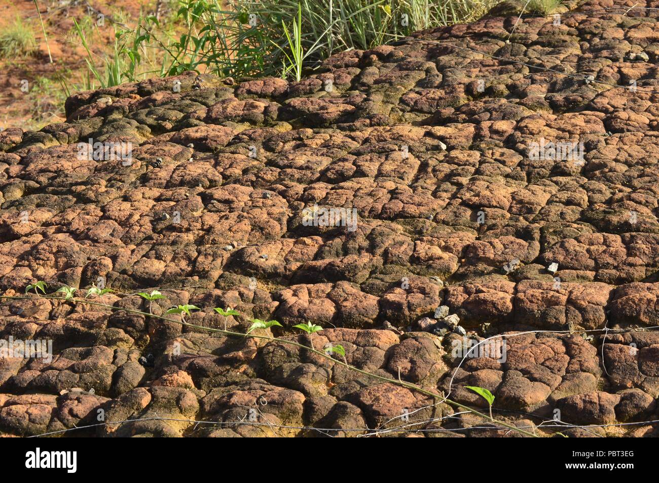sterile reddish soil without life Stock Photo - Alamy