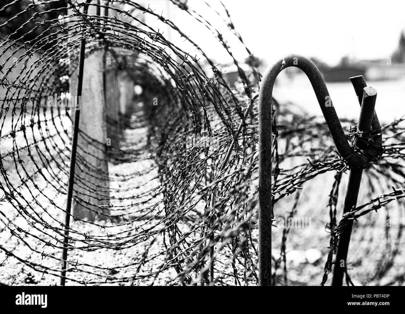 Barbed wire at the Sachsenhausen Memorial Camp, Germany Stock Photo