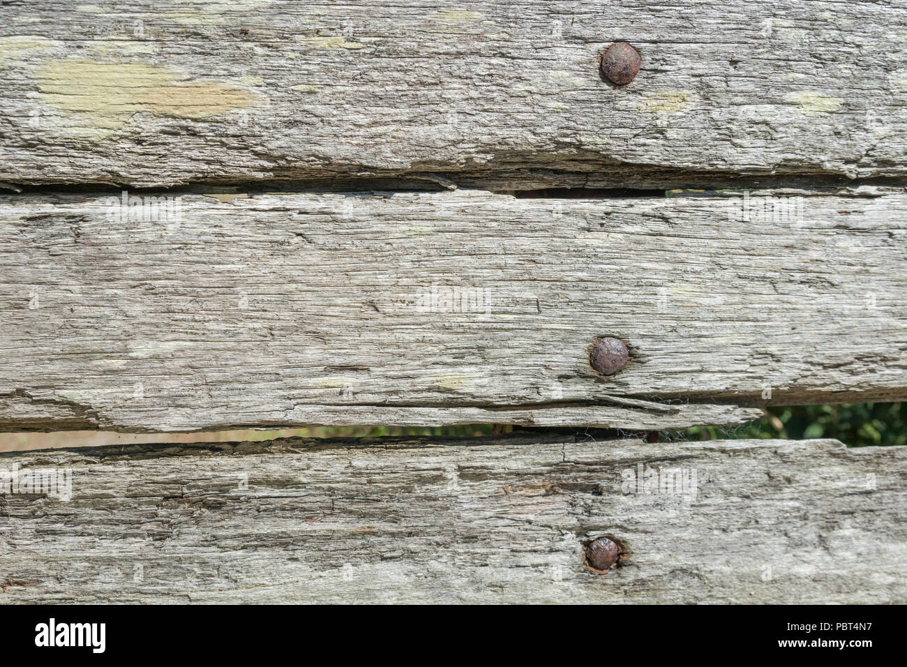 Decaying wood background texture in bright summer sunlight. Stock Photo