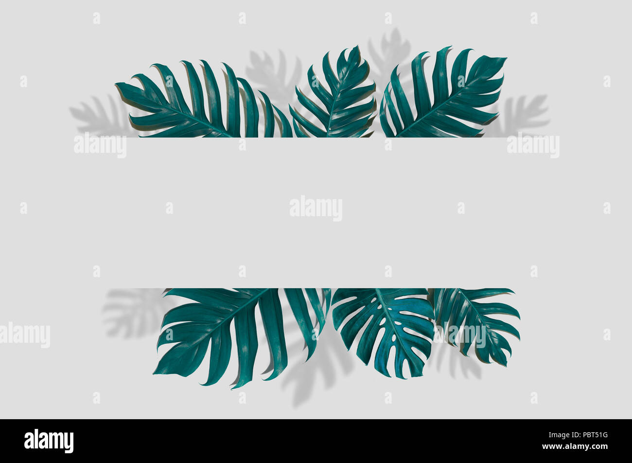 Concept art Minimal background design Leaves monster blue Tropical and  leaves in vibrant bold gradient trendy Summer Tropical Leaves Design Stock  Photo - Alamy