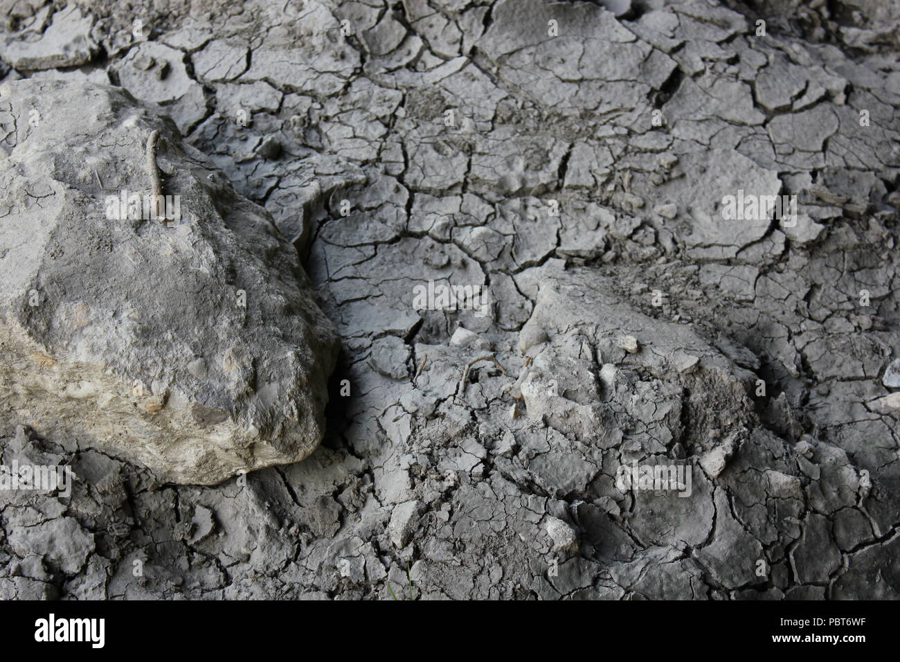 Severely dried, cracked, rippled mud and mud cracks Stock Photo Alamy