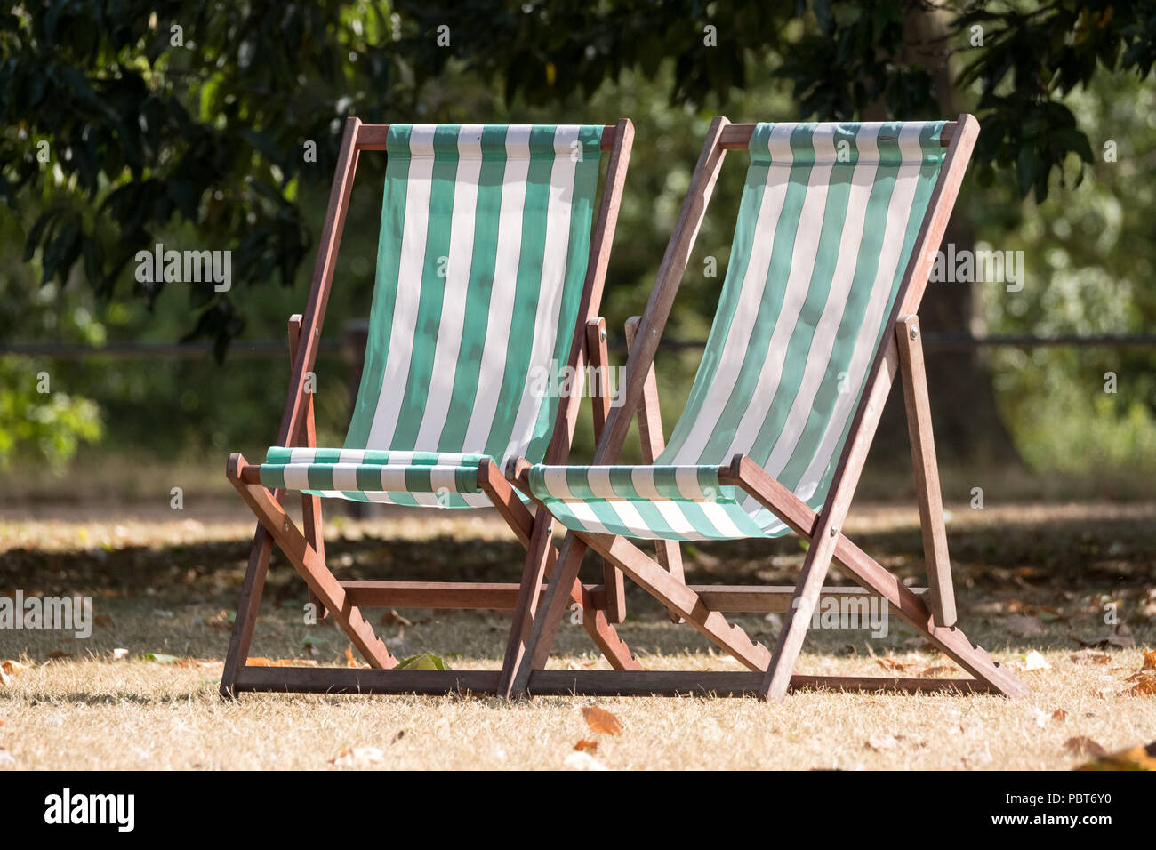 Dry drought grass in hyde park hi-res stock photography and images - Alamy