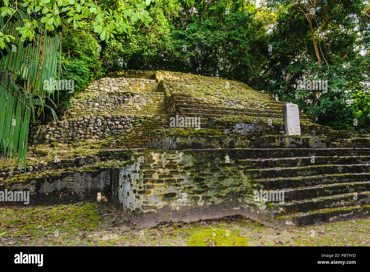 Maya civilization constructions in Belize Stock Photo - Alamy