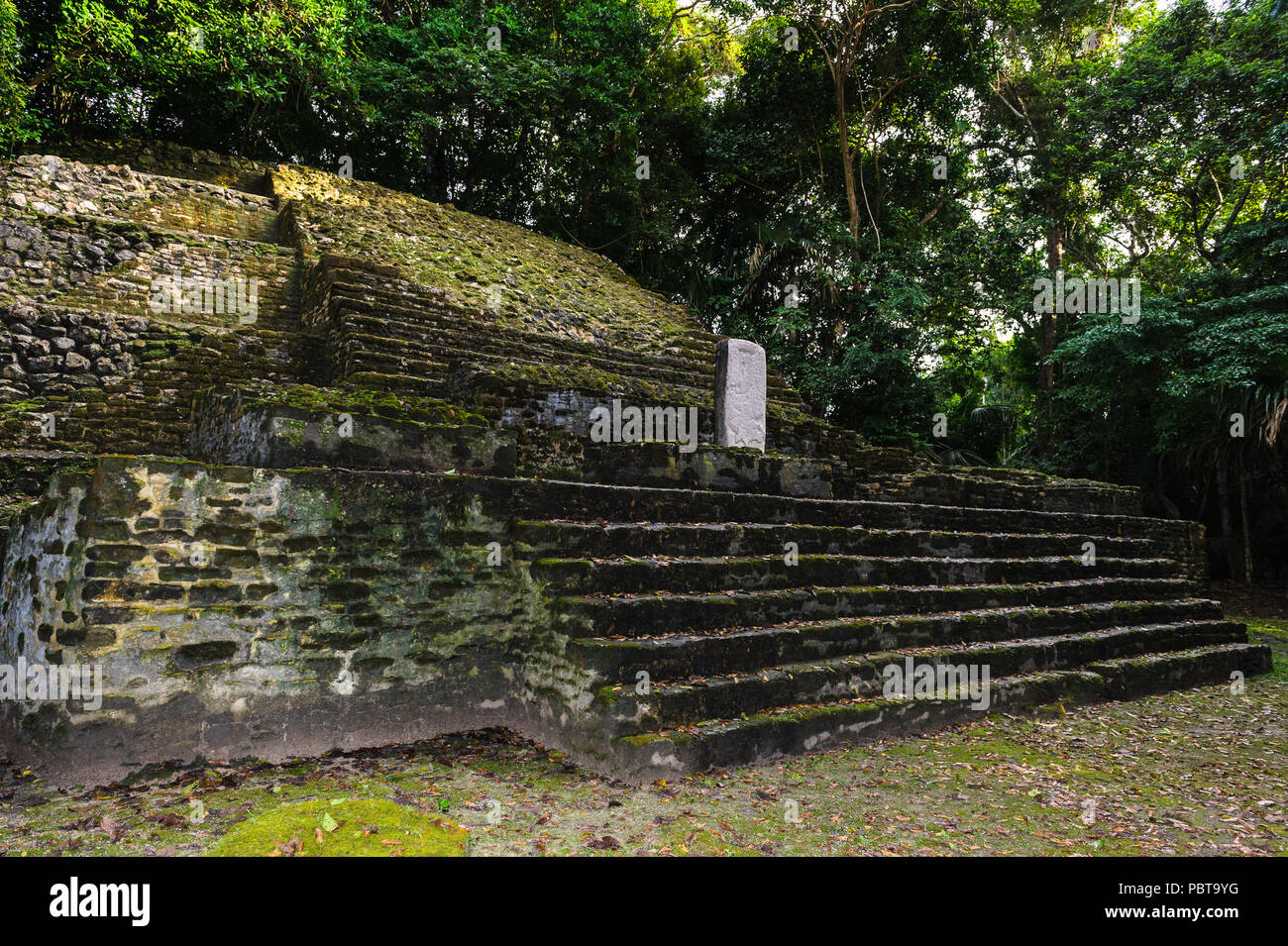 Maya civilization constructions in Belize Stock Photo - Alamy
