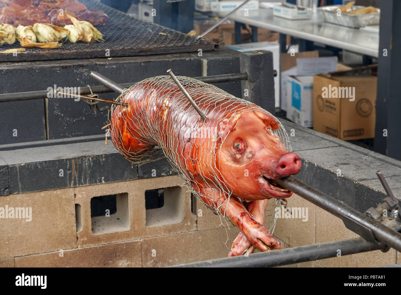 BBQ Hog on spit pig barbeque Stock Photo Alamy