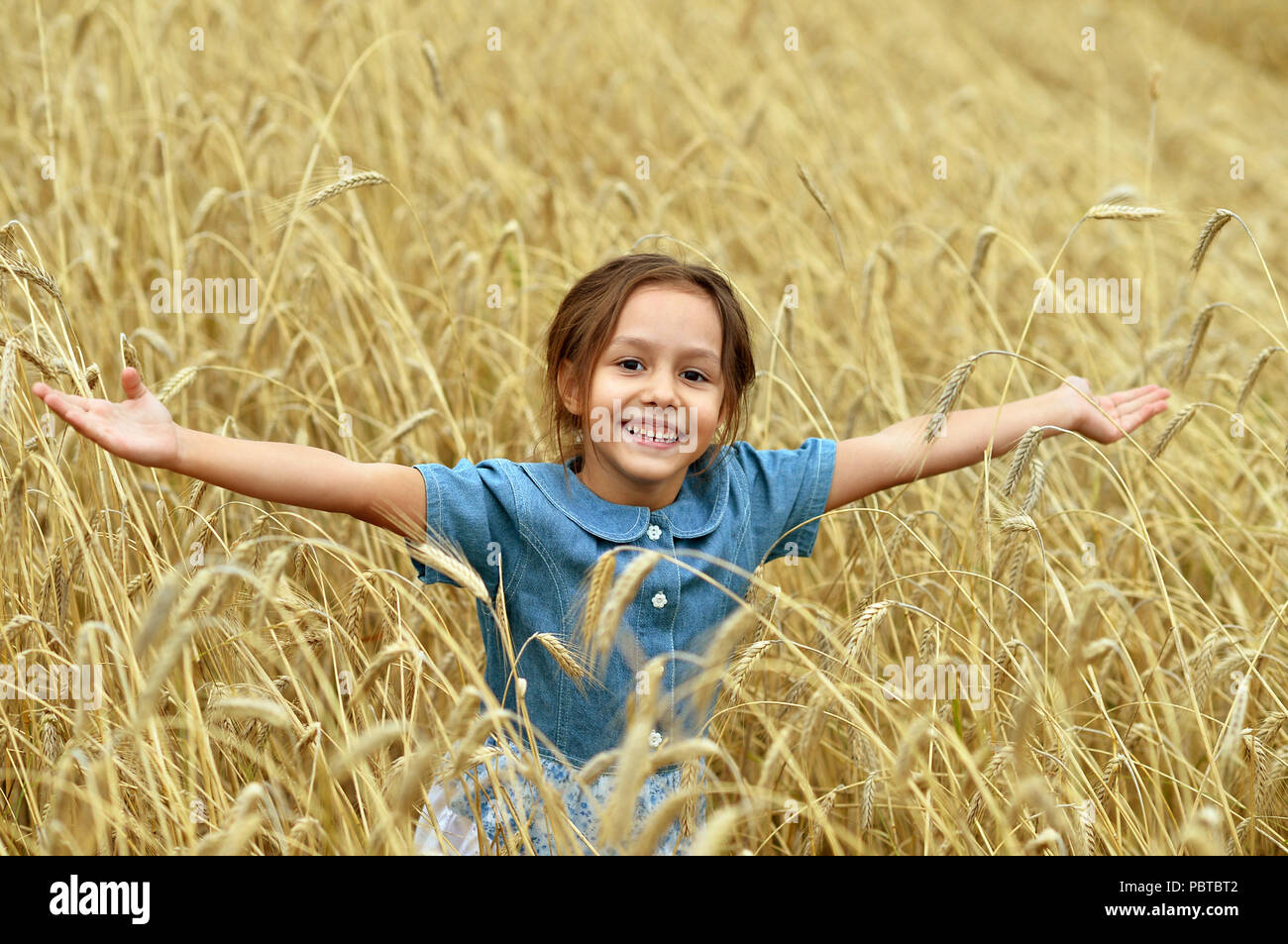 cute Little Girl in wheat field Stock Photo - Alamy