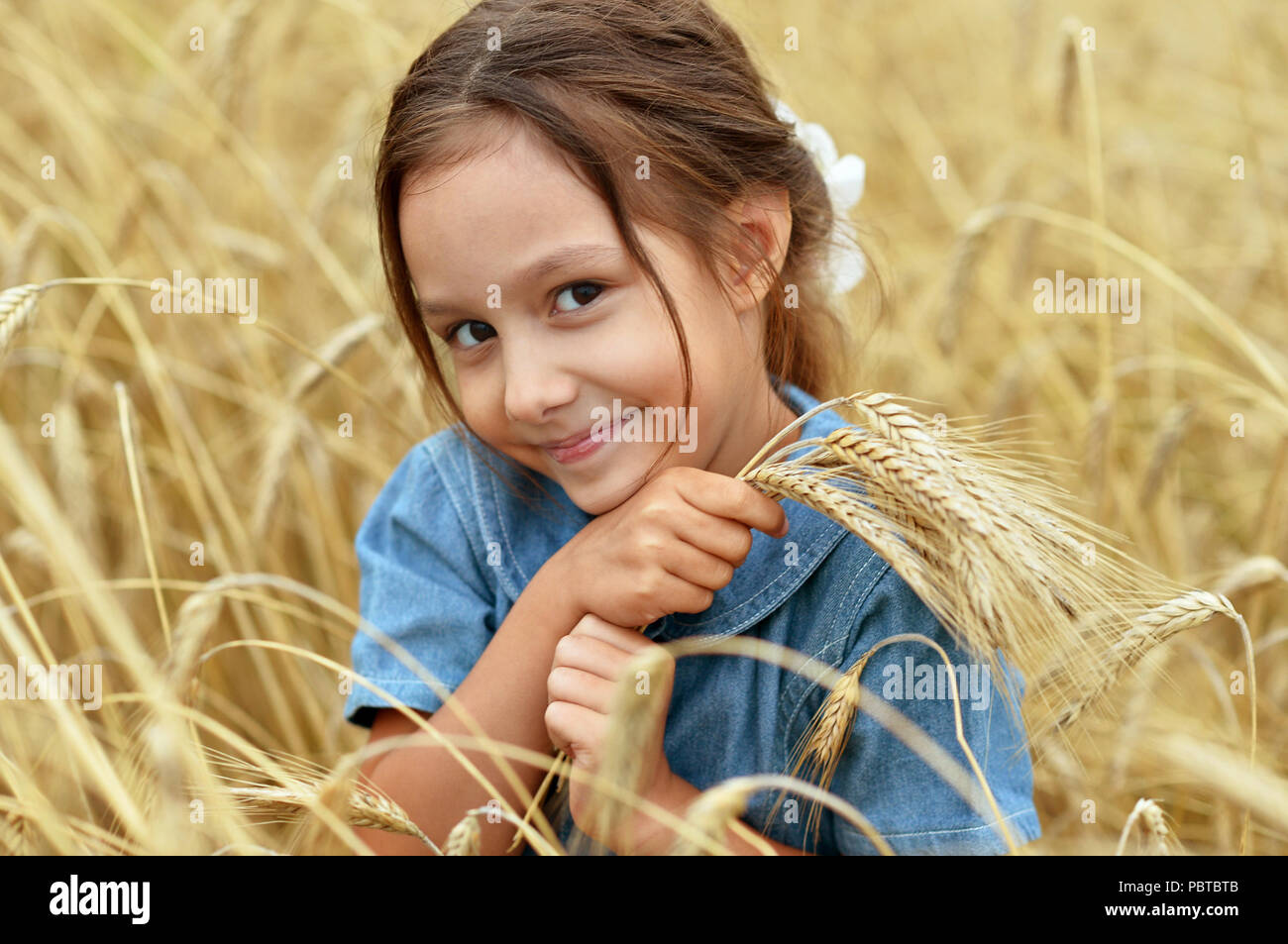 cute Little Girl in wheat field Stock Photo - Alamy
