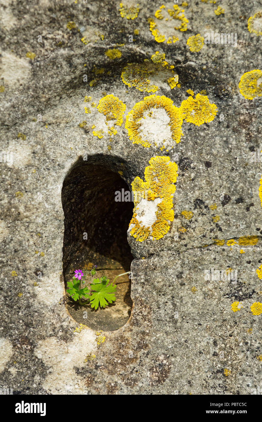 Hole in the rock zealand hi-res stock photography and images - Alamy