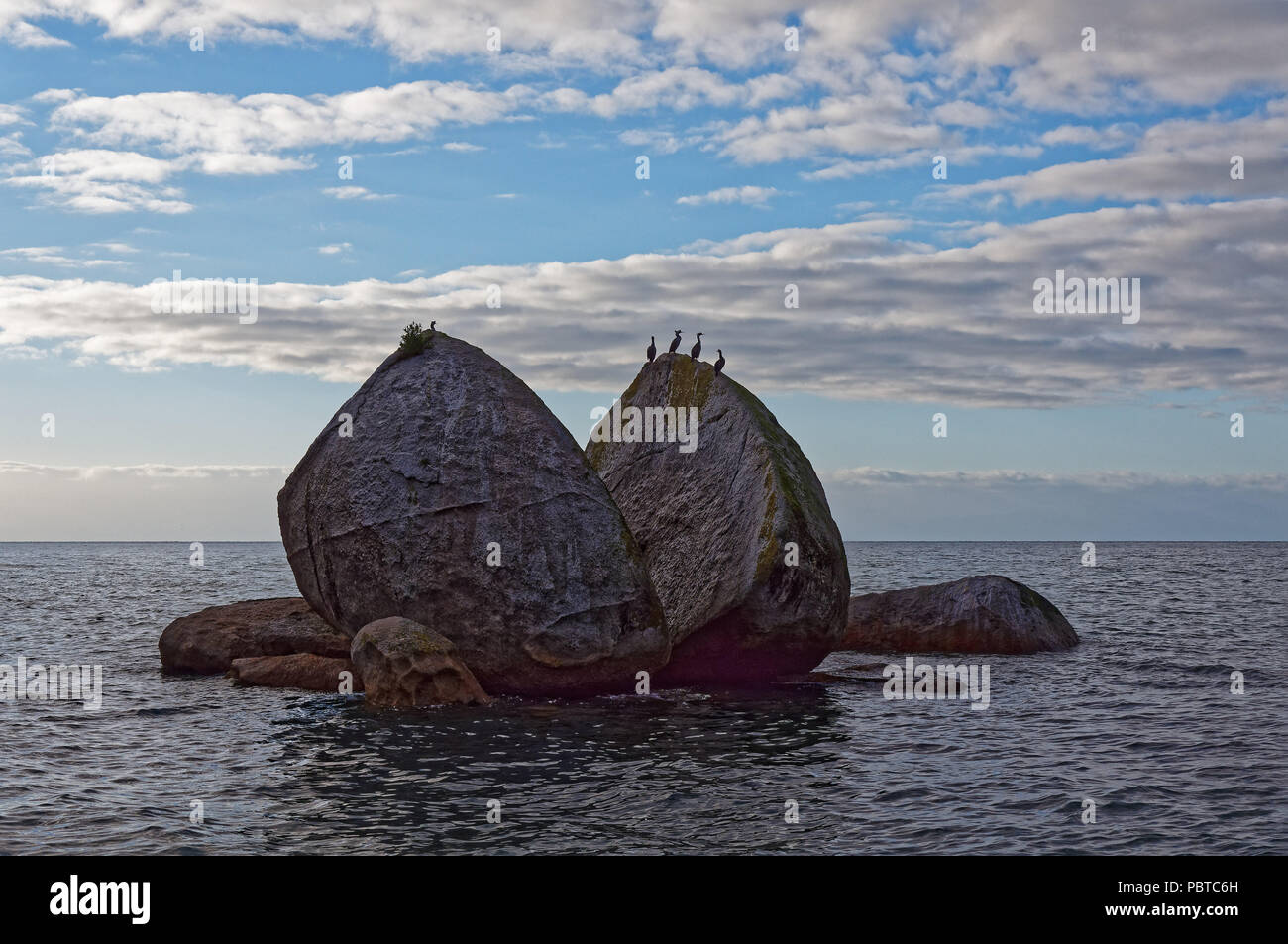 Split Apple rock in the morning light with shags drying themselves in the sun Stock Photo