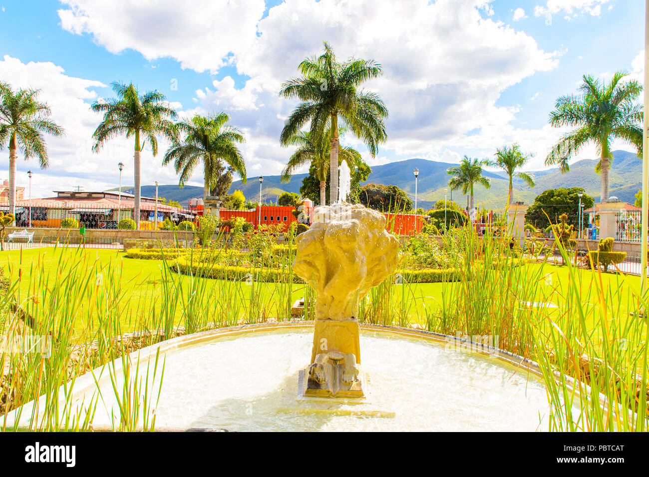 Garden of a City Hall of  Santa Maria del Tule, Mexico, Valles Centrales region. Stock Photo