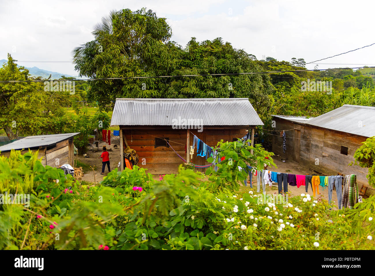 Nature and houses of the one of the maya villages in Chiapas state of