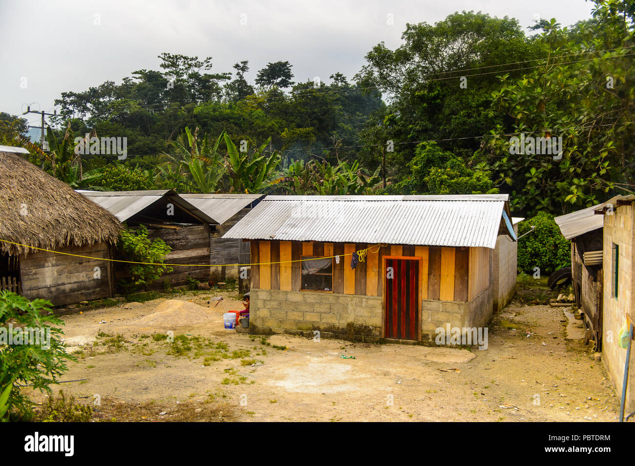 Nature and houses of the one of the maya villages in Chiapas state of