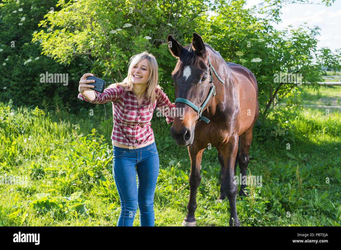 girl taking a selfie with his horse Stock Photo - Alamy