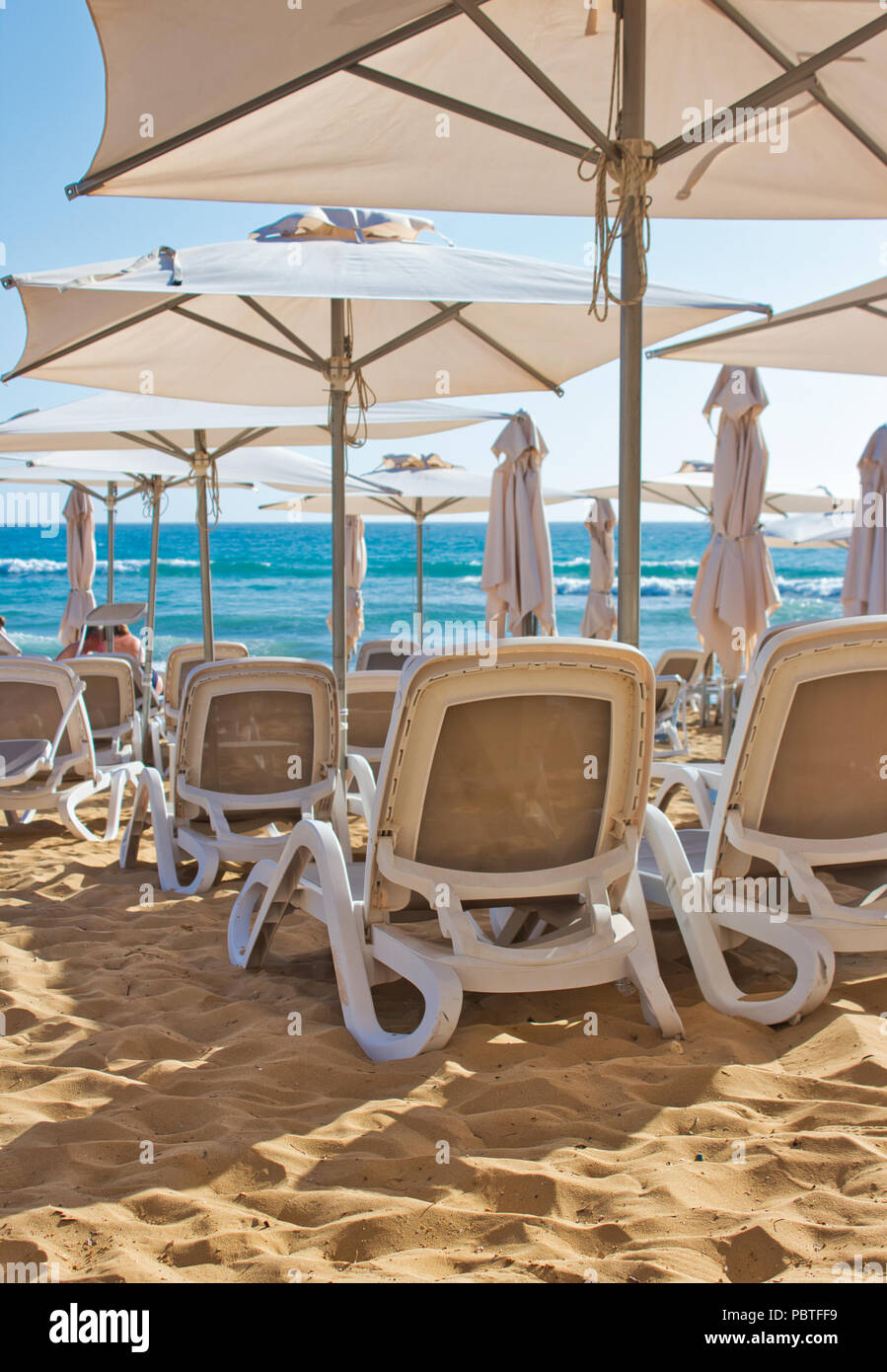 Rows of plastic reclining chairs / lounge recliners / sunbeds on a golden sandy beach in the summer with shade umbrellas Stock Photo