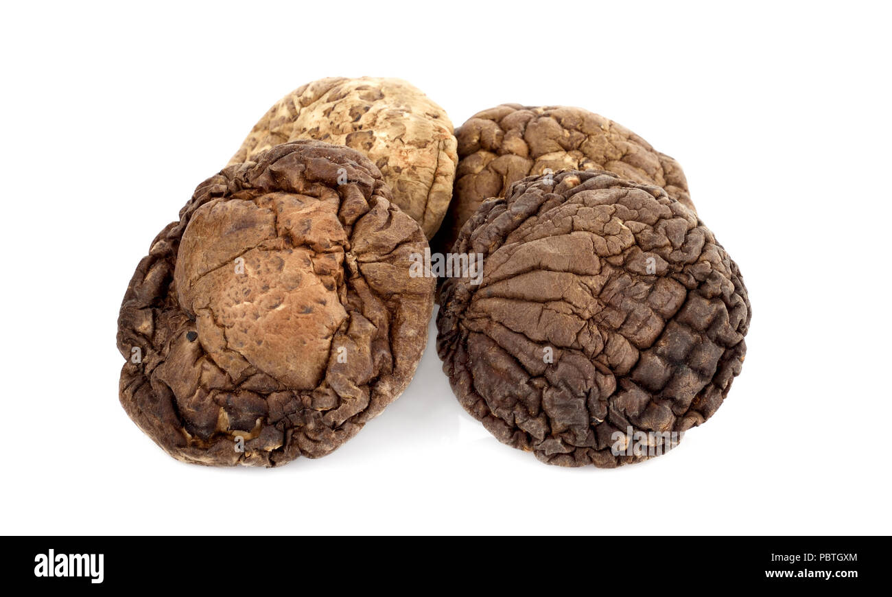 dried shiitake mushrooms, chinese mushrooms on white background Stock