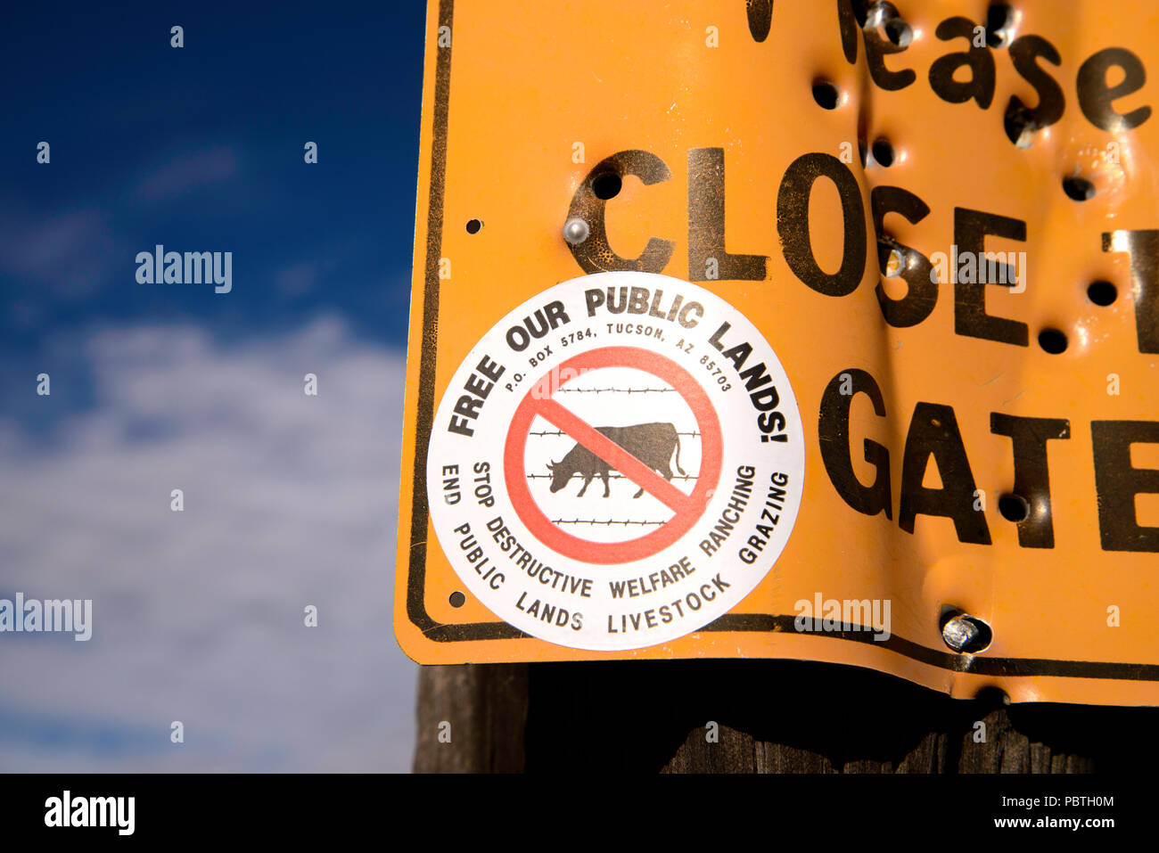 Signs opposing livestock grazing on public lands where cattle graze are posted by Free Our Public Lands! along the road to Elephant Head, Coronado Nat Stock Photo