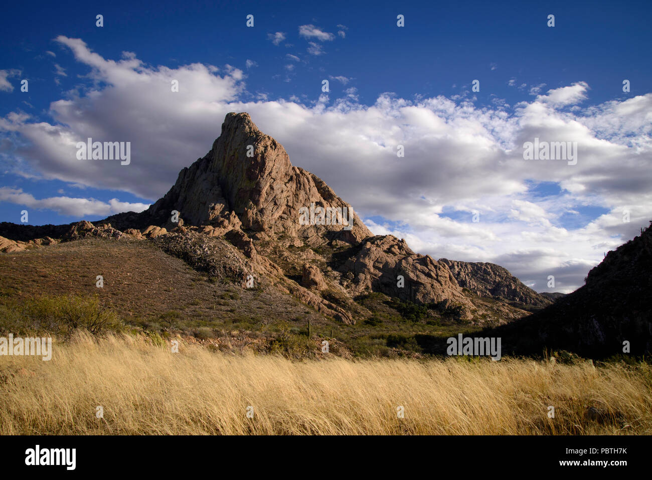 Green valley usa sonoran desert deserts hires stock photography and