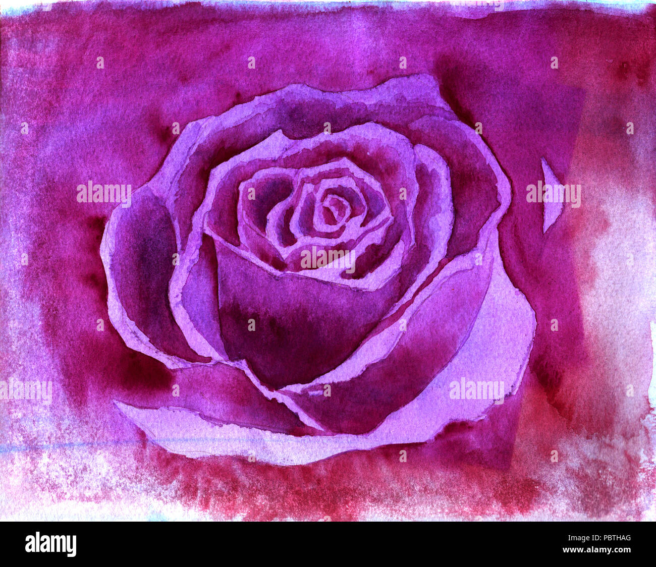 rose petal watercolour illustration background Stock Photo Alamy