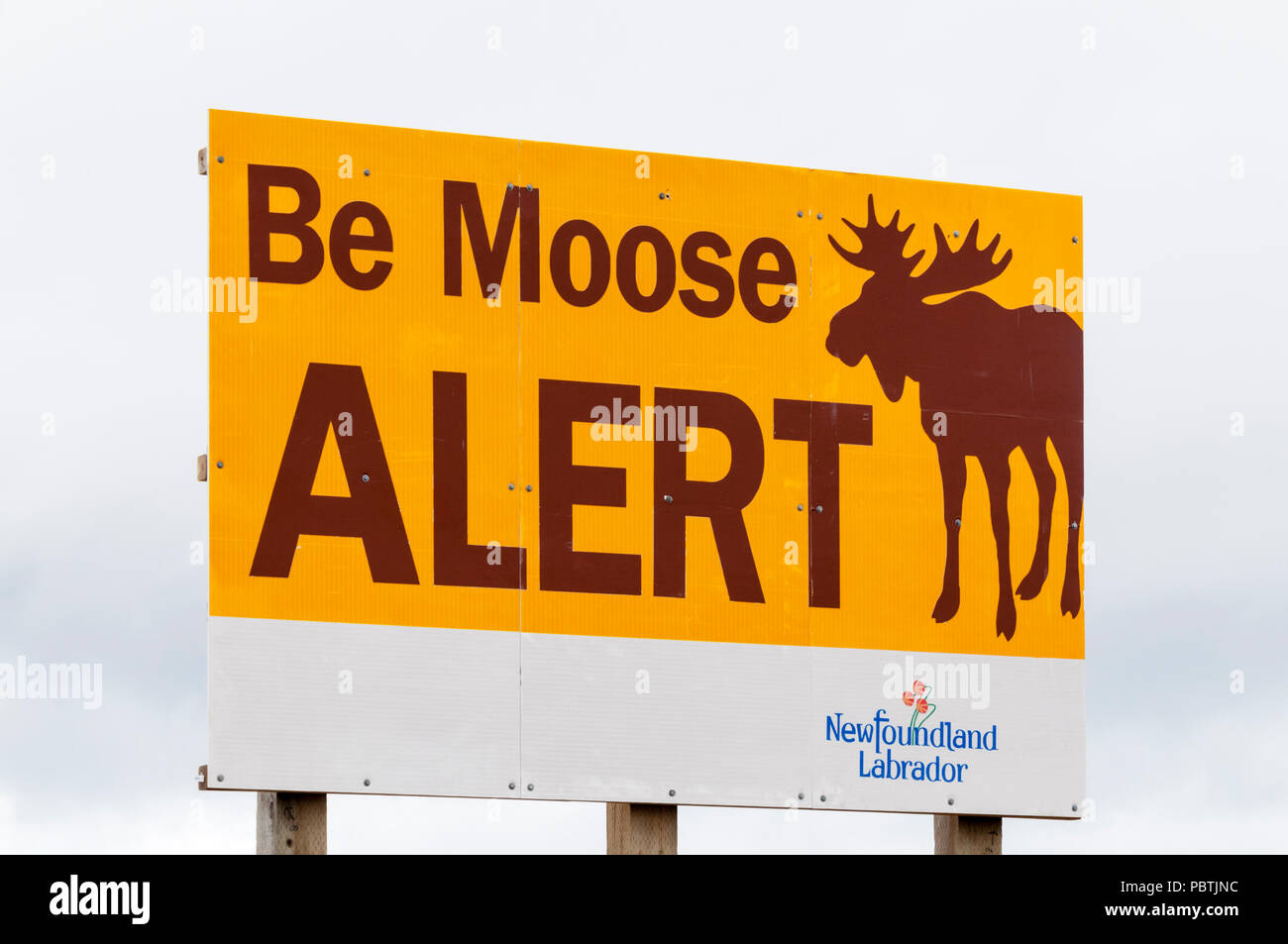 Be Moose Alert warning sign in Newfoundland Stock Photo