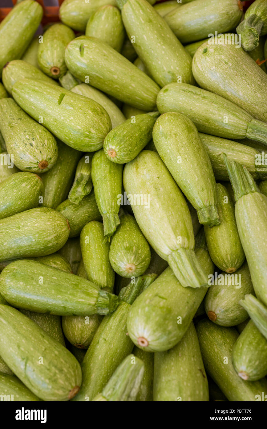 Zucchini in a market Stock Photo Alamy