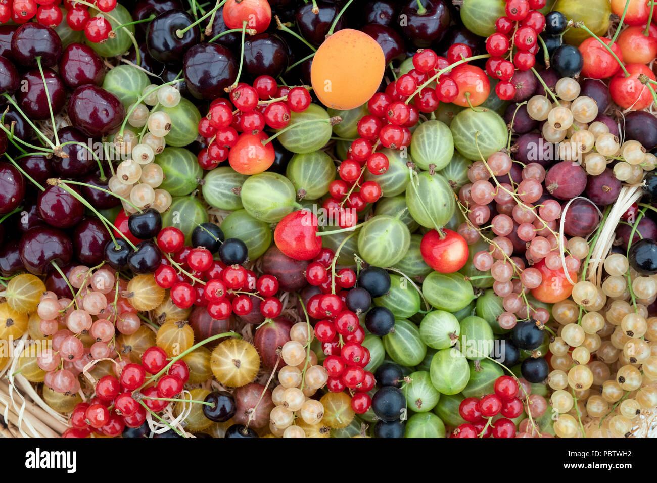 Selection of fruit in a basket on display at RHS Tatton park flower show 2018, Cheshire. UK Stock Photo