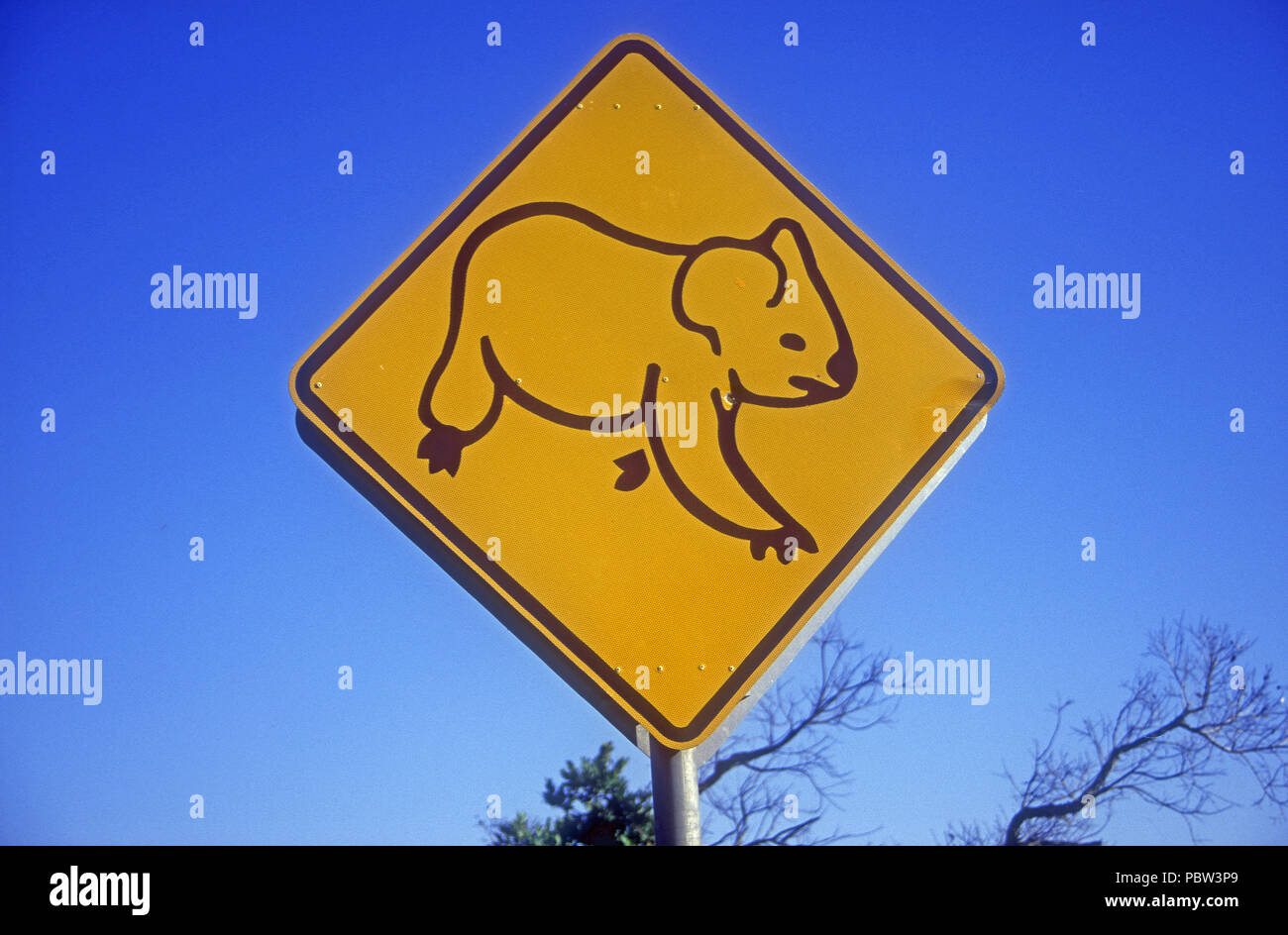 Koalas on road signs hires stock photography and images Alamy
